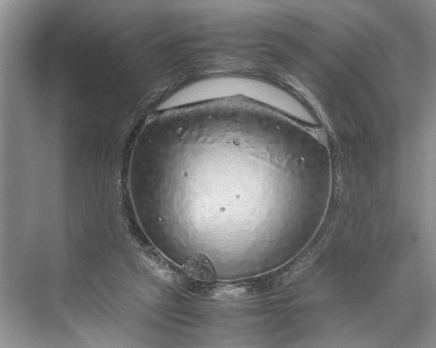 X0000070210257200606091632