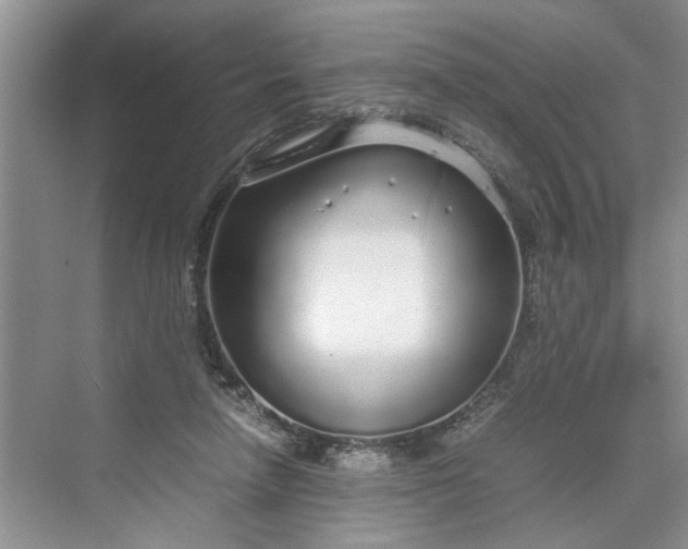 X0000070210258200606091632