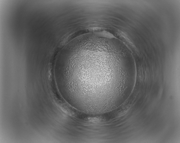 X0000070210259200606091632