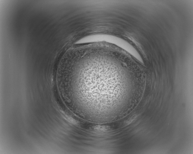 X0000070210261200606091632