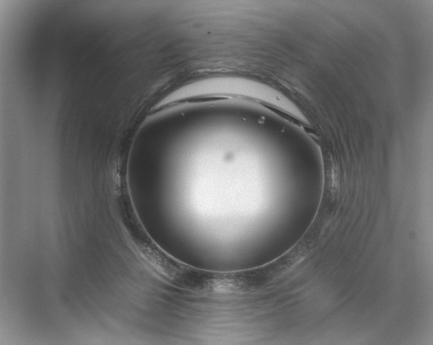 X0000070210264200606091632