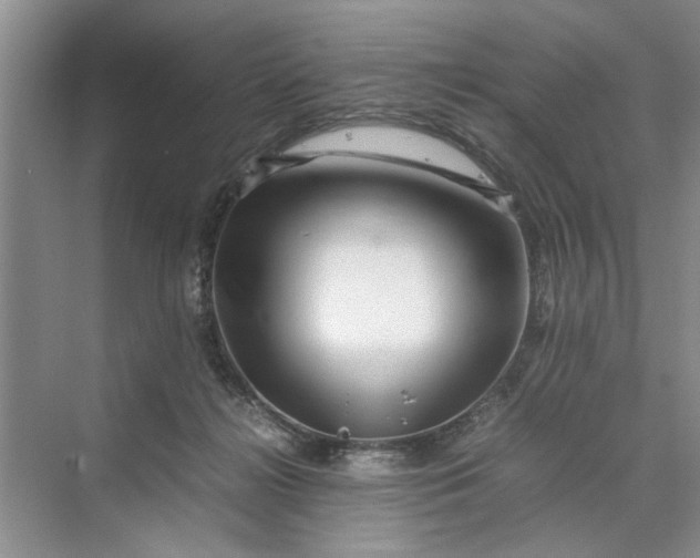 X0000070210268200606091632