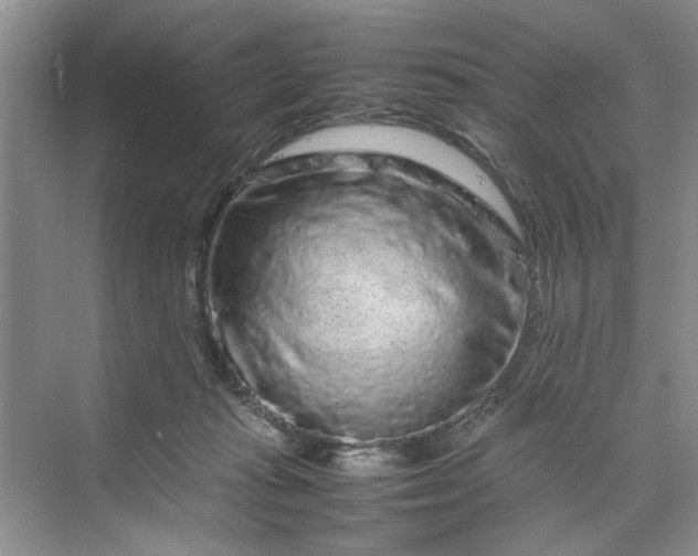 X0000070210269200606091632