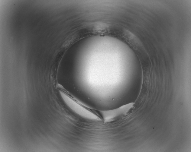 X0000070210270200606091632