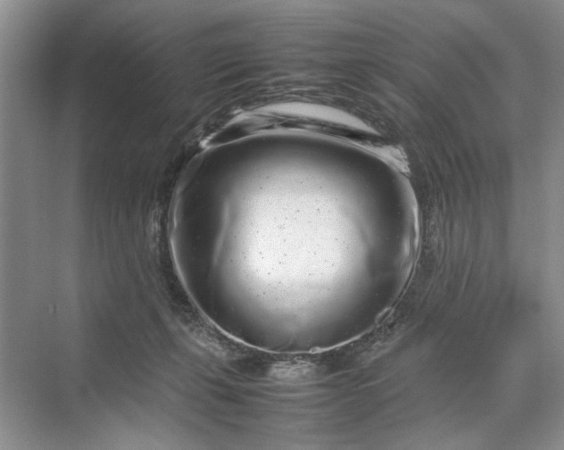 X0000070210271200606091632