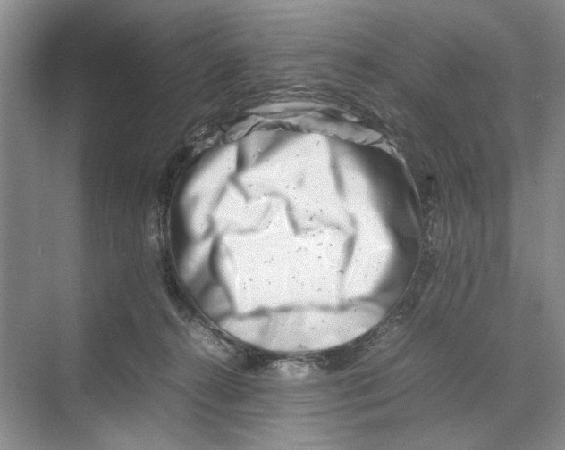 X0000070210272200606091632