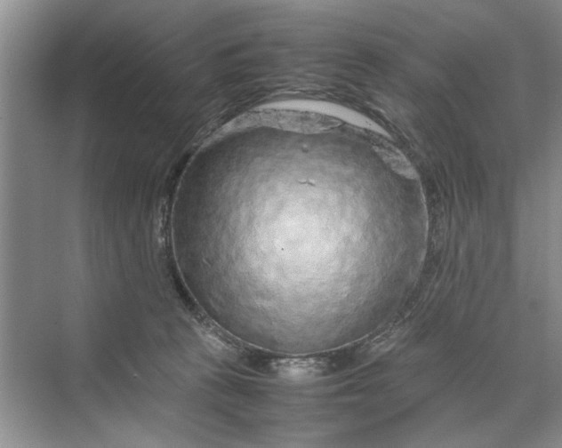 X0000070210273200606091632