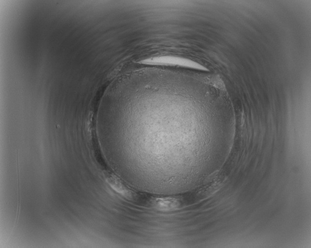 X0000070210275200606091632