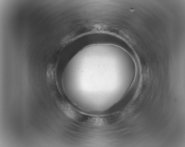 X0000070210276200606091632