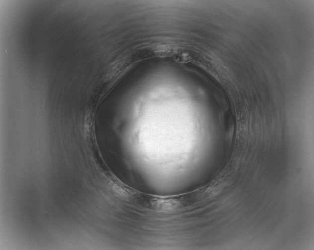 X0000070210277200606091632