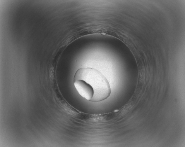 X0000070210278200606091632