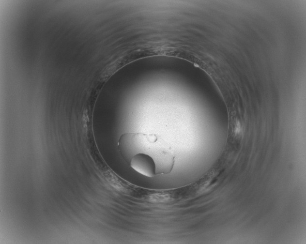 X0000070210279200606091632