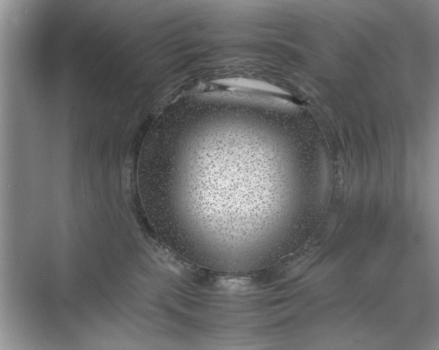 X0000070210283200606091632