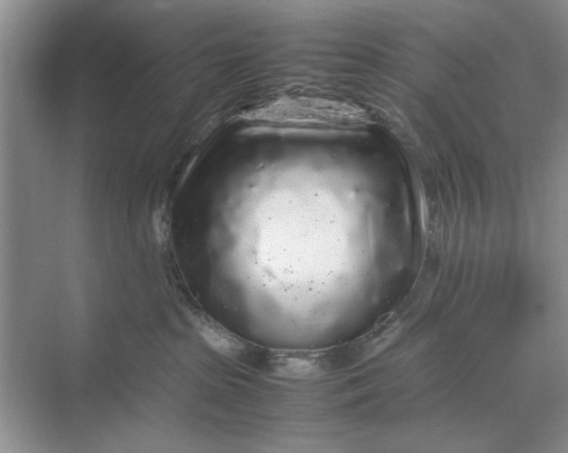 X0000070210285200606091632