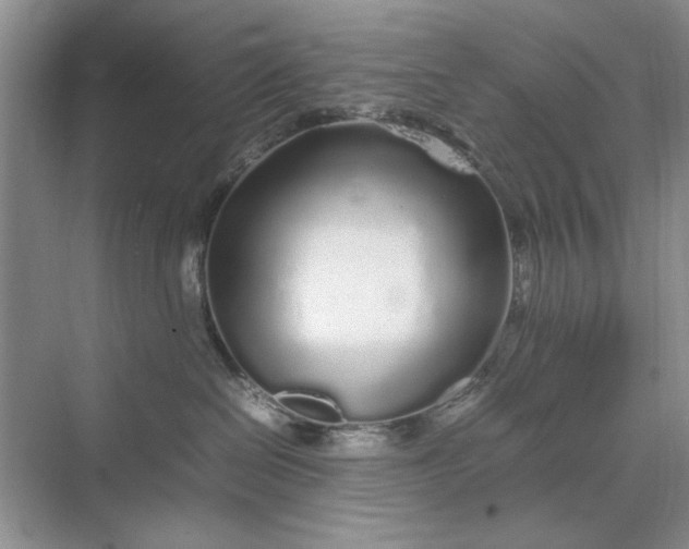 X0000070210286200606091632