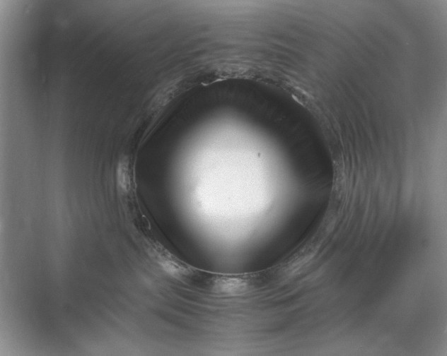 X0000070210287200606091632