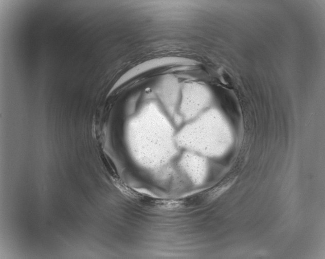 X0000070210288200606091632