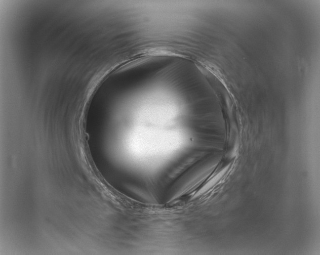 X0000070210289200606091631