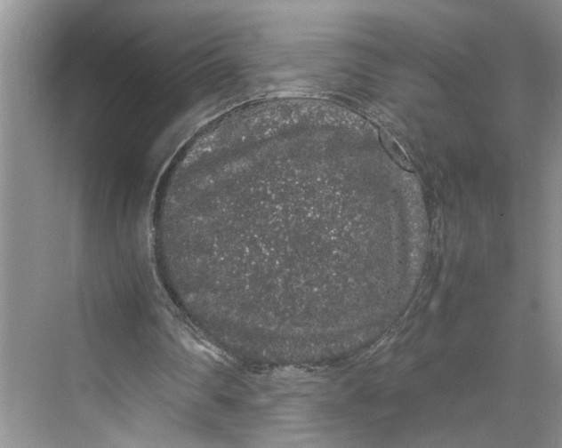 X0000070210290200606091631