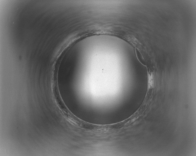 X0000070210291200606091631