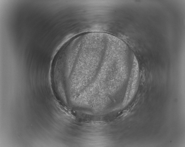 X0000070210292200606091631