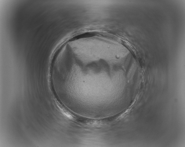 X0000070210293200606091631