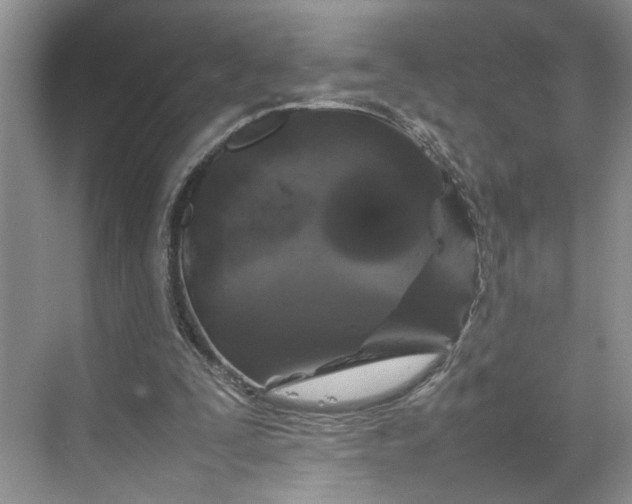 X0000070210295200606091631