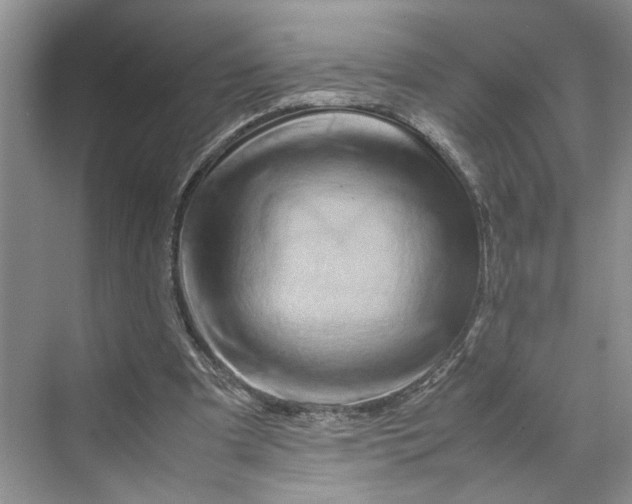 X0000070210297200606091631