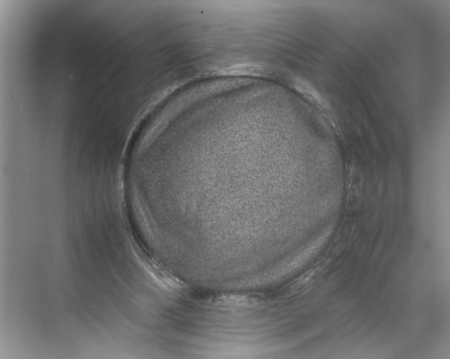 X0000070210298200606091631