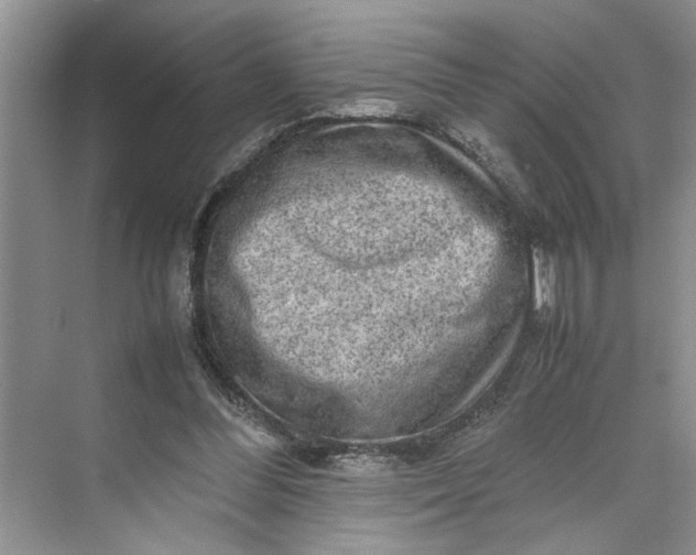 X0000070210300200606091631