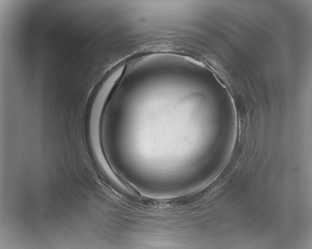 X0000070210301200606091631