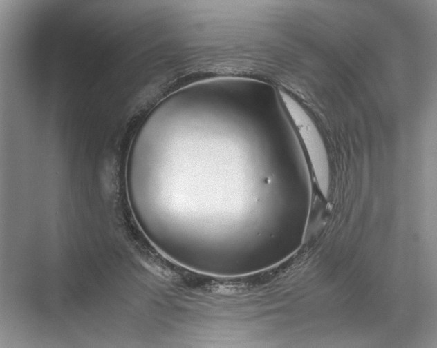 X0000070210303200606091631