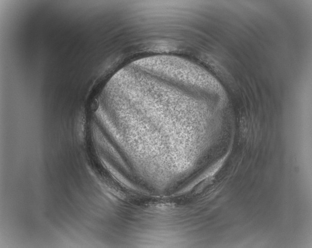 X0000070210304200606091631