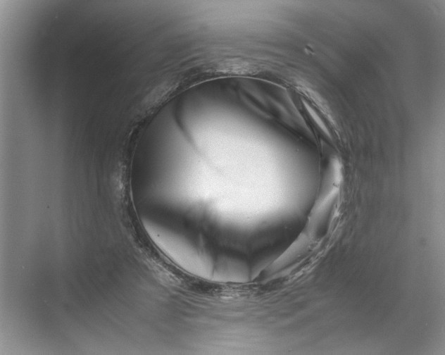 X0000070210305200606091631