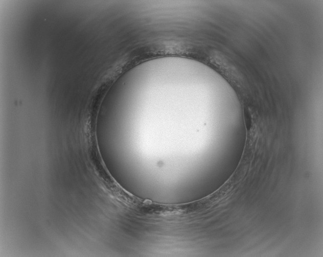 X0000070210306200606091631