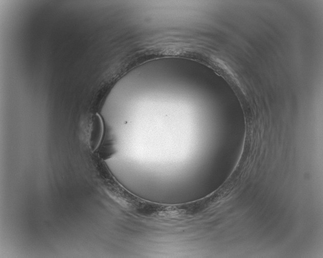 X0000070210307200606091631