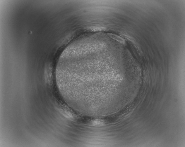 X0000070210308200606091631