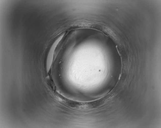 X0000070210309200606091631