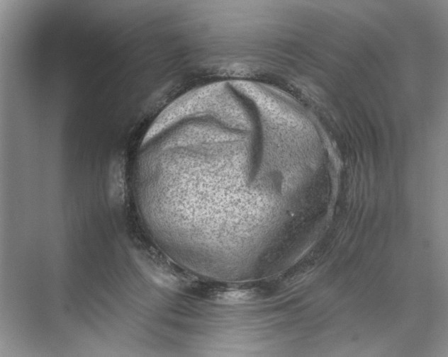 X0000070210312200606091631