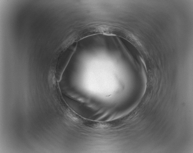 X0000070210313200606091631