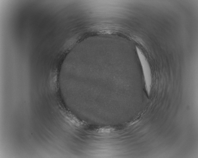 X0000070210314200606091631