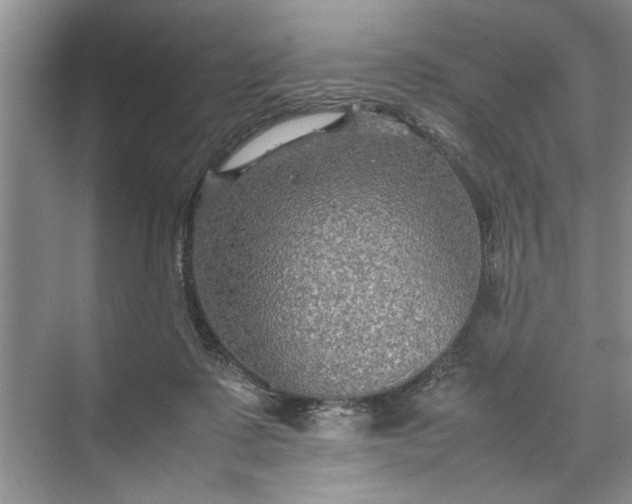 X0000070210315200606091631