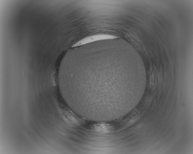 X0000070210316200606091631