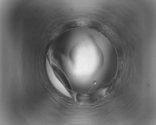 X0000070210317200606091631