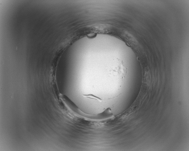 X0000070210318200606091631