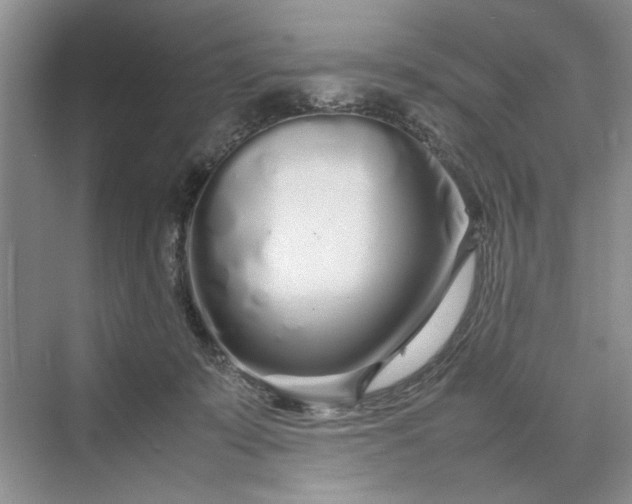 X0000070210319200606091631