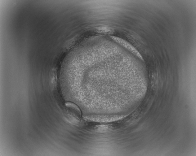 X0000070210320200606091631