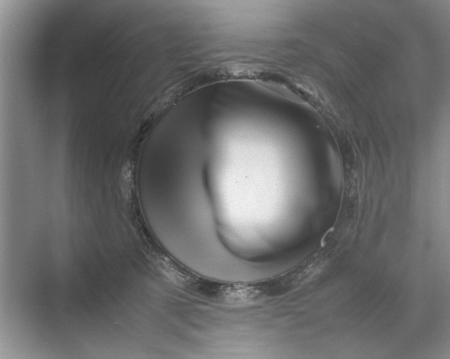 X0000070210321200606091631