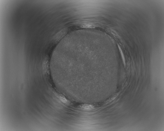 X0000070210322200606091631