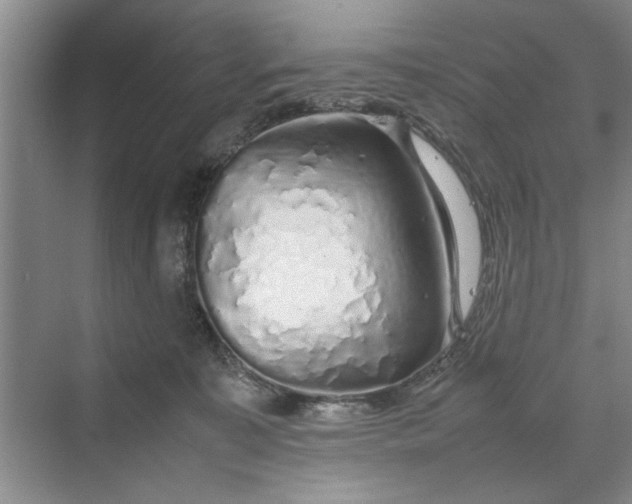 X0000070210323200606091631